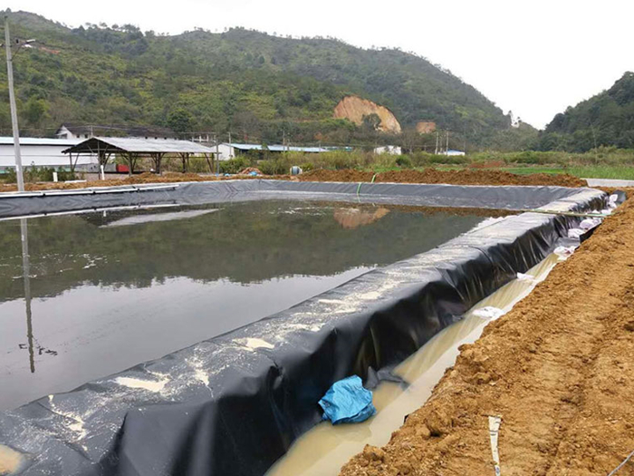 魚(yú)塘里用土工膜做防滲層需不需要回填土壤？